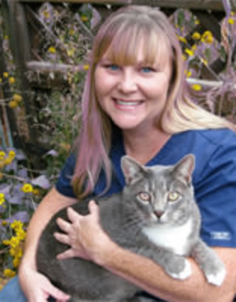 Dr. Holcombe holding a gray cat